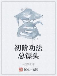 初階功法總鏢頭