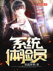 系統體驗員 系統體驗員