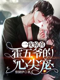 一夜驚喜:霍五爺的心尖寵