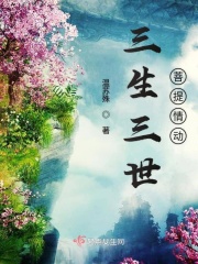三生三世菩提情動
