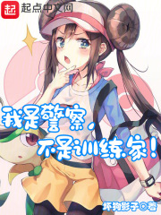 精靈:我是警察,不是訓練家!