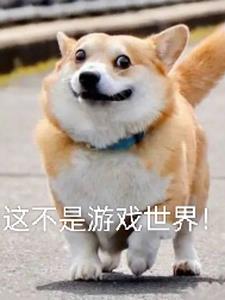 IoO@ɡI
