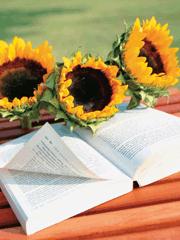 一夜情殤 一夜情殤