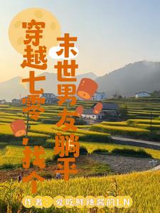 雙穿老公來自末世封面