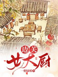 邊關女大廚封面
