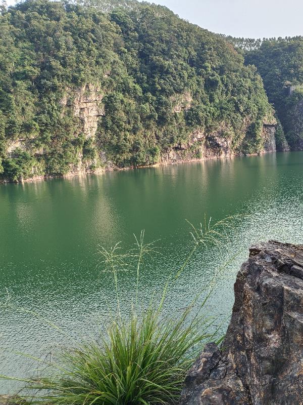 我在吞噬教學就變強