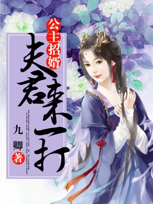 公主招婿,夫君來一打